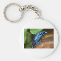blue poison arrow frog keychains
