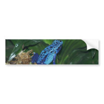 Blue Poison Arrow Frog Portrait Bumper Stickers