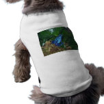 Blue Poison Arrow Frog Portrait pet clothing