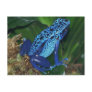 Blue Poison Arrow Frog Portrait Post Cards