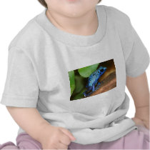 blue poison arrow frog t-shirts