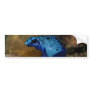 Blue Poison Dart Frog Dendrobates Azureus Bumper Sticker