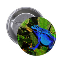 Blue Poison Dart Frog Dendrobates Azureus Pinback Button
