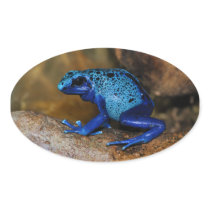 Blue Poison Dart Frog Dendrobates Azureus Oval Sticker