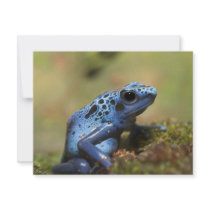 Blue Poison Dart Frog Personalized Announcements