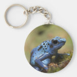 Blue Poison Dart Frog Key Chain