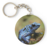 Blue Poison Dart Frog Key Chain