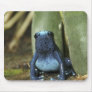 Blue Poison Dart Frog Mousepad
