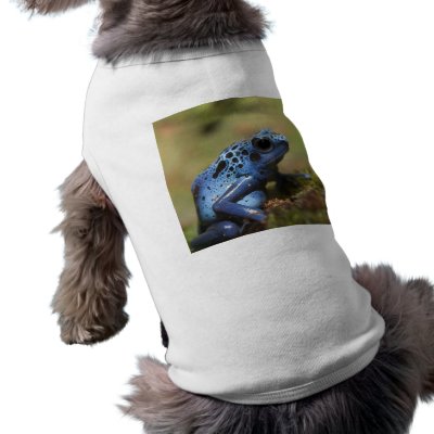 Blue Poison Dart Frog Pet Clothing by KenKPhoto