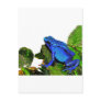 Blue Poison Dart Frog Post Cards