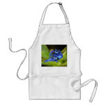 Blue Poison Dart Frogs In Leaf 1 Aprons