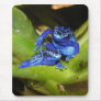Blue Poison Dart Frogs In Leaf 1 Mouse Pads