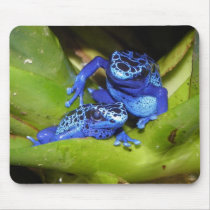 Blue Poison Dart Frogs In Leaf 1 Mousepads
