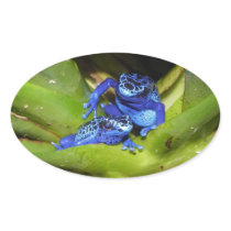 Blue Poison Dart Frogs In Leaf 1 Sticker