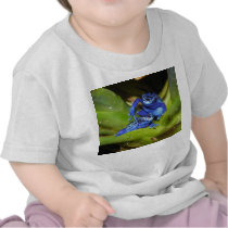 Blue Poison Dart Frogs In Leaf 1 Tshirts