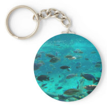 Blue pool of cichlids swimming around design