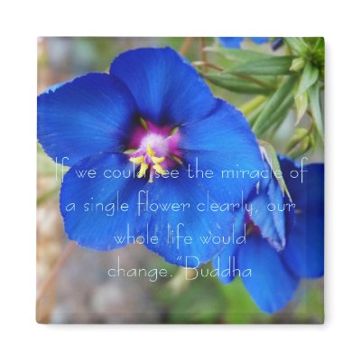 Blue Poppy flower with inspiring quote from Buddha Fridge Magnets by Spiritoftheraven
