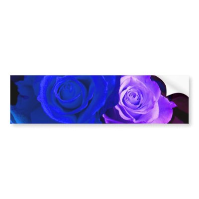 Blue Purple Rose Bumper Sticker - Customisable by colorimages