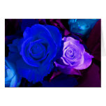 Blue Purple Rose