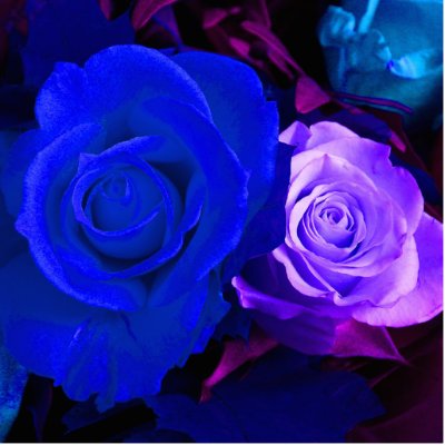 Blue Purple Rose Photo Sculpture by WeddingsBest
