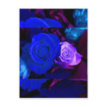 Blue Purple Rose