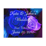 Blue Purple Rose
