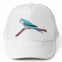 Blue Quaker Parrot Hat