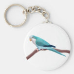 Blue Quaker Parrot Keychain