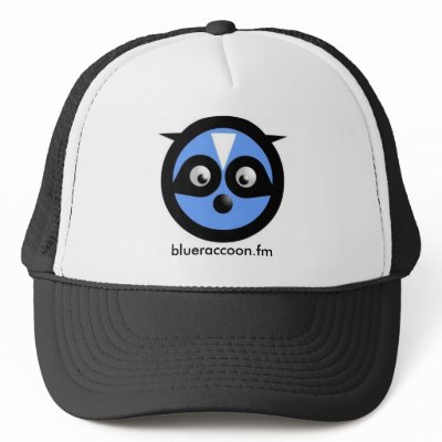 blue racoon hat by blueraccoon