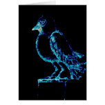 Blue Raven cards