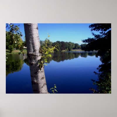 Blue Reflectiosn Print by TrishWA