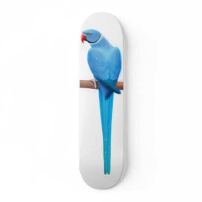 Blue Ringneck Parrot Skateboard by twopurringcats