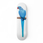 Blue Ringneck Parrot Skateboard