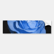 Blue Rose Bumper Stickers