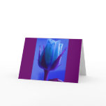 Blue Rose Delight Card - Customisable