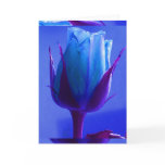 Blue Rose Delight Card I - Customizable
