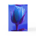 Blue Rose Delight Card I - Customizable