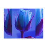 Blue Rose Delight Postcard I - Customisable