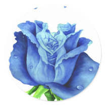 Blue Rose Flower Painting - Multi