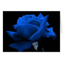 Blue Rose Greeting Card