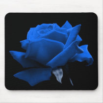 Blue Rose