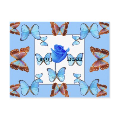 BLUE ROSE! Postcard by zazzitup