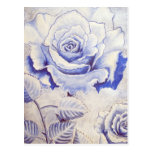 Blue Rose postcards