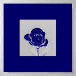 Blue Rose Poster posters