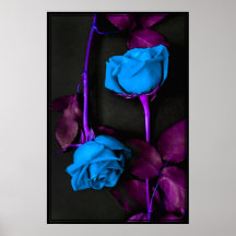 Blue Roses Poster