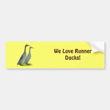 Blue Runner Ducks Bumper Stickers