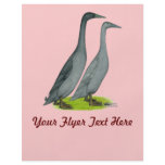 Blue Runner Ducks
