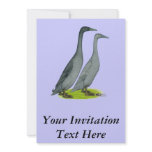 Blue Runner Ducks invitations