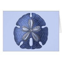 Blue Sand Dollar Greeting Cards