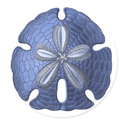 Blue Sand Dollar Round Stickers by BirdsOfParadise